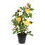 Plante artificielle jaune en pot 21 po-205694826