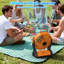 Ventilateur de camping portable, ventilateur alimenté par batterie rechargeable avec lanterne à DEL, petit ventilateur de table, ventilateurs à piles USB pour voyage, chambre à coucher, camping, tente, bureau, plage, pique-nique, barbecue, pêche-131655531