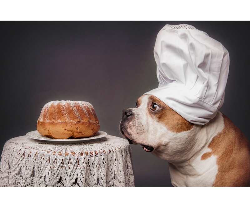 Wrapped Canvas Print, 50.8 cm H x 76.2 cm W