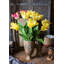 Jet de soie tulipe flamme de soie-389960669