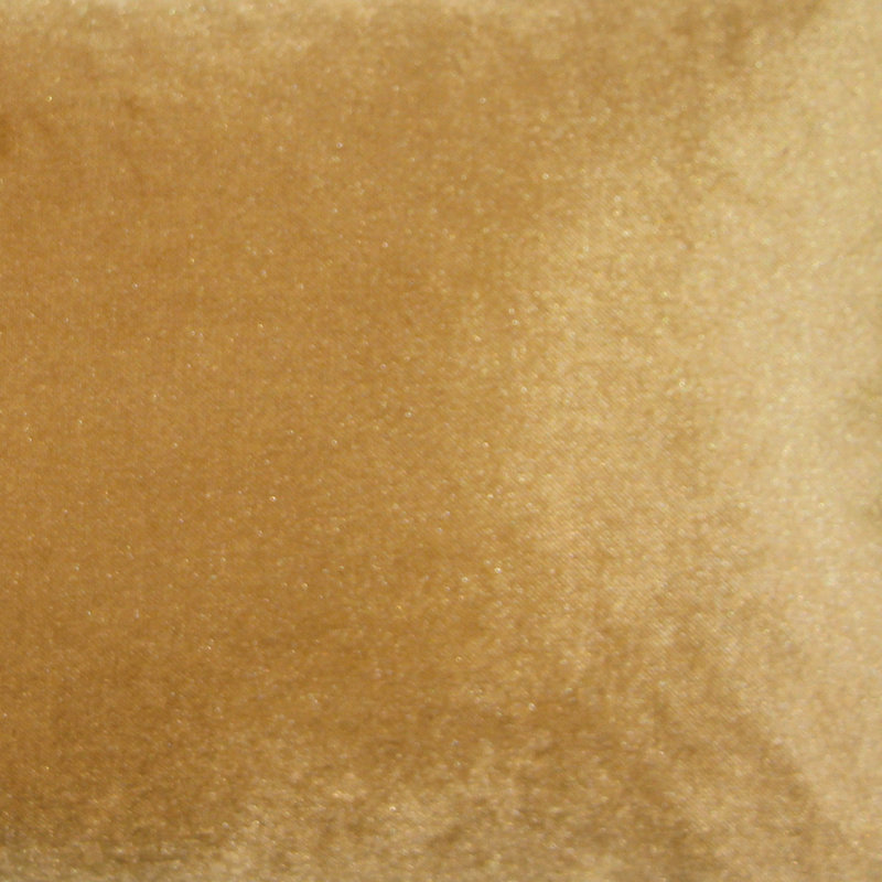 Velvet Throw Pillow, 19" x 19", Gold/Brown