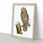 Clouded Owl by George Shaw - Framed Print-55621317-55621320