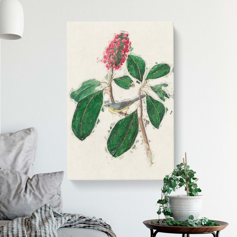 Bonapartes Flycatcher Bird by John Audubon - Wrapped Canvas, 50cm H x 35cm W x 3cm D