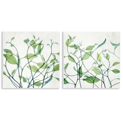 «Green Botanical Leaves Xray», ensemble de 2 plaques murales par Victoria Barnes