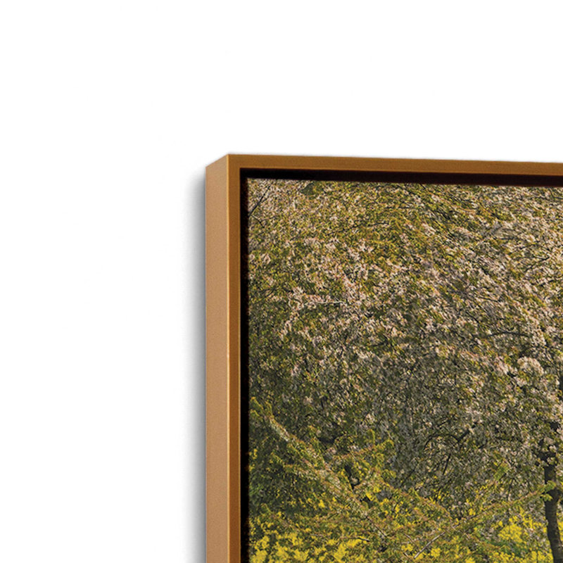 Freedom by Martin Podt Art Print, Framed Canvas, 48 W x 32 H, Gold