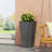 PLANTER