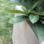 Fibre de verre Gethsemane-1621048990-1617262000