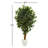 Ficus Artificial Tree in White Planter