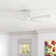 Brandee 42'' Ceiling Fan with Light Kit