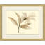 Crocus Painting