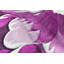 Tapis mauve à motif floral Duraisamy-1081260867