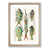 Oak Framed selected