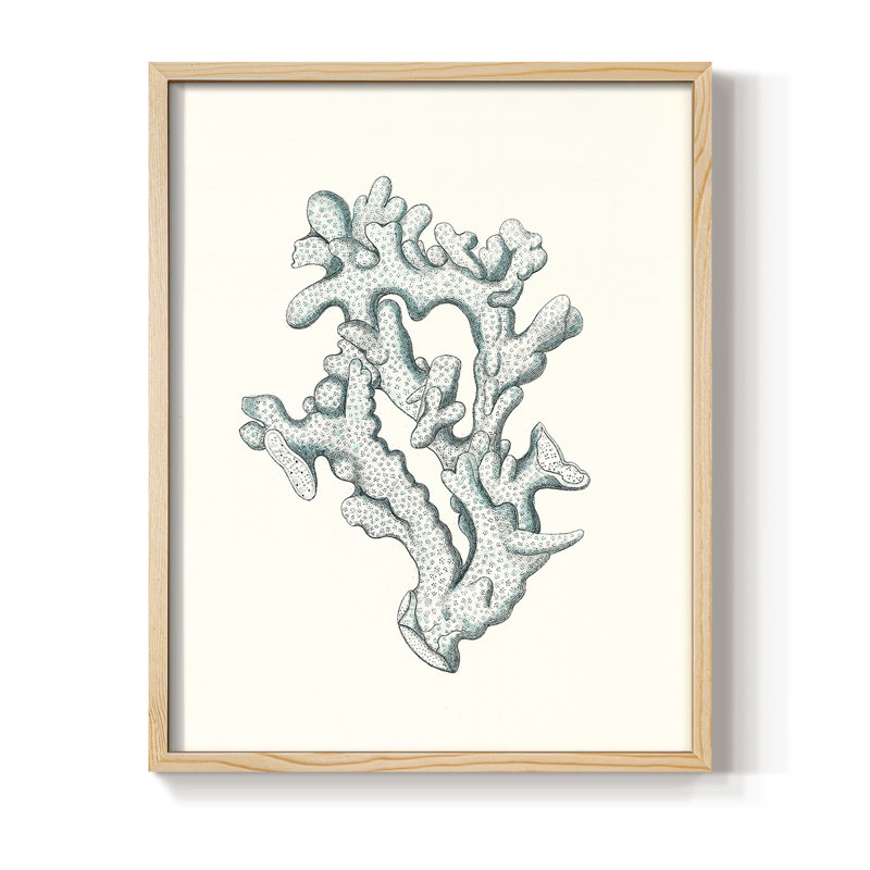 Antique Antique Coastal Coral IV, reproduction encadrée - bois massif, H 30 po x l 24 po