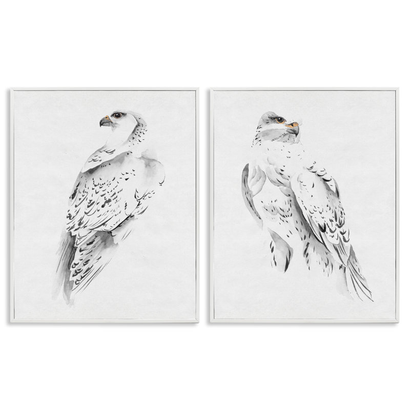 White Hawk Winter Birds Soft Speckled Feathers, H 20 po x l 16 po, Estampe numérique encadrée blanc bord de mer