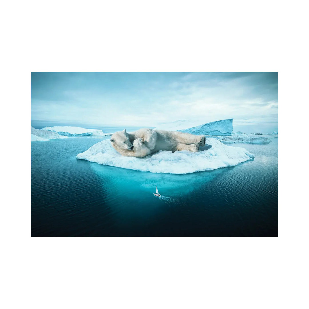 Schlafender Eisbär von Ruvim Noga - Galerie-verpackte Leinwand Giclée