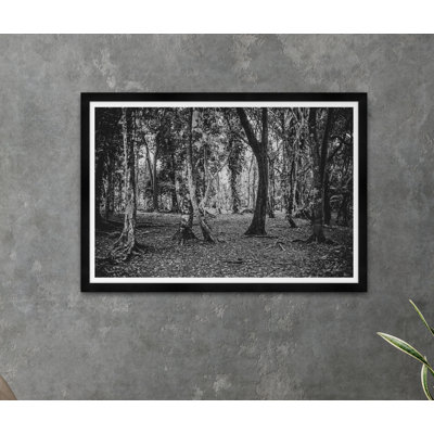 Tim Klein " Forest "