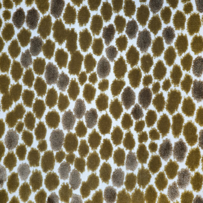Jasmine Fabric