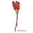 Vickerman 8-12" Repens On A Natural Stem, Dried Preserved Repens Arrangement
