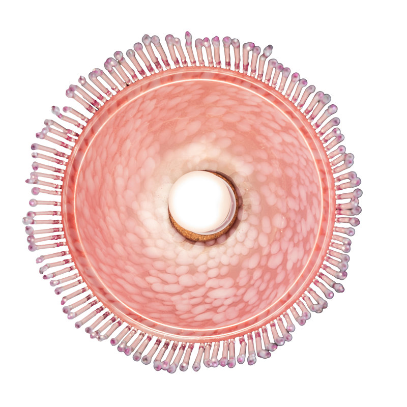 1 - Light Flush Mount