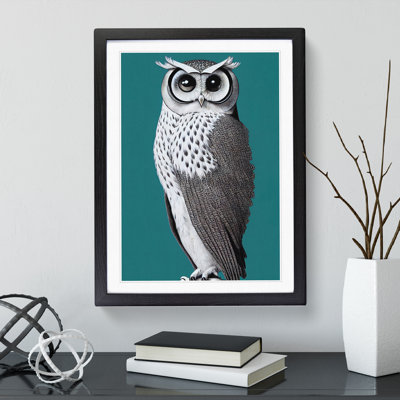 Curious Owl - Single Picture Frame Print