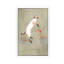 Cat On Bicycle - Print on Canvas-42158540-89232298
