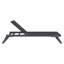 Holli Outdoor Chaise Lounge-88452996