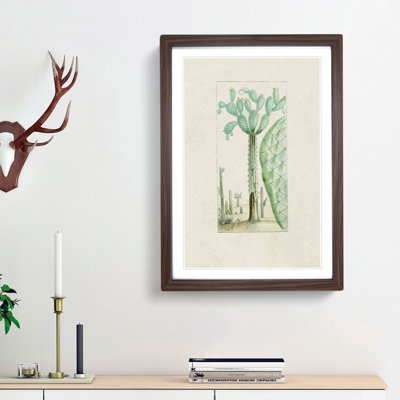 Cactus Illustration - Picture Frame Painting Print