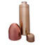 Stainless Steel Shaker