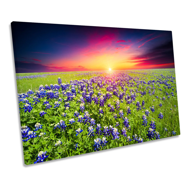 Flowers Landscape Sunset - Wrapped Canvas Art Prints, 30.5cm H x 45.7cm W