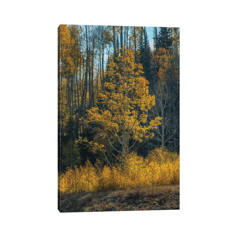 Tree Of Fire by Bill Sherrell - Wrapped Canvas Print, 30.48cm H x 20.32 W x  1.905cm D