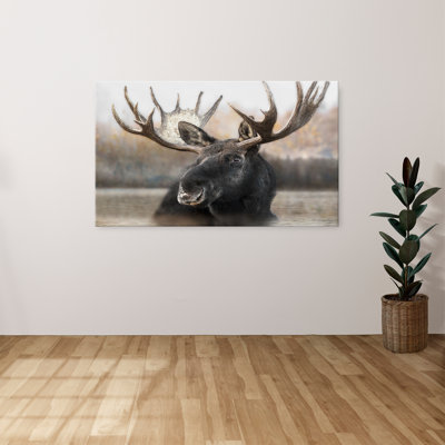 "Moose Spa" par Danita Delimont, reproduction sur toile