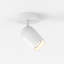 Koto 1 - Light Spotlight-276409711-317747329-317747340