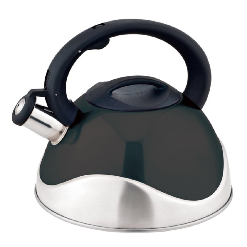 Bouilloire à sifflet en acier inoxydable, 3 pintes, Noir