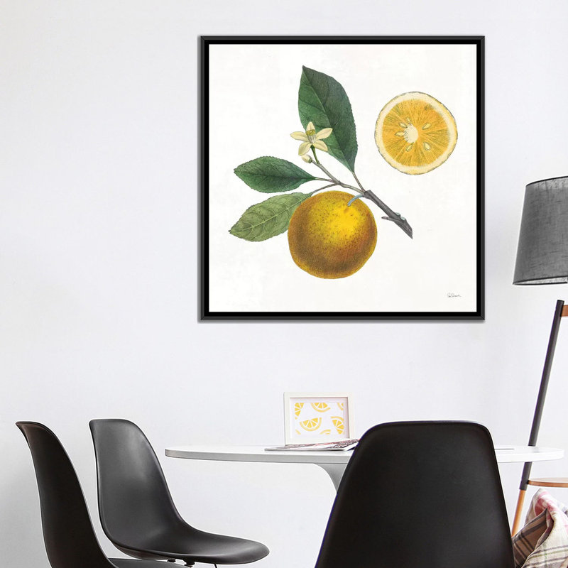 Classic Citrus II by Sue Schlabach - Gallery-Wrapped Canvas Giclée, 37" H x 37" W x 1.5" D, Black Framed Canvas, No Matte