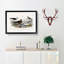 Gulls and Tern Birds by Oliver Goldsmith - Picture Frame Painting Print-55609126-55609128