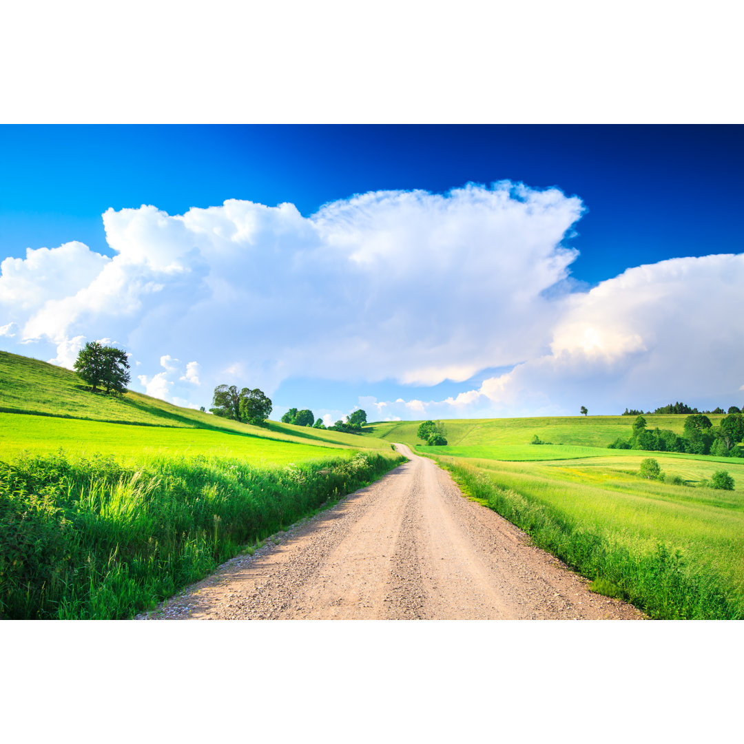 Landstraße, sanfte Hügel und Täler - Landwirtschaftliche Landschaft von Konradlew - Druck auf Leinwand ohne Rahmen