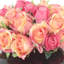 Roses Arranged in a Glass Vase