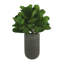 Faux Fiddle Leaf Fig Tree in Planter