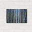 «Mystery Of Trees-Birches» par Sharon Pitts-46131