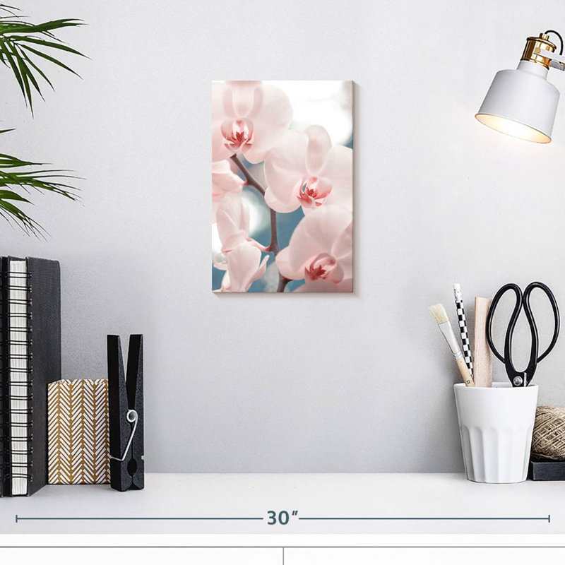 Orchidées Harnek rose clair, H 12 po x l 8 po