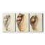 Splendid Shells I - Toile tendue sur mesure avec châssis - 3 pièces-1143582579