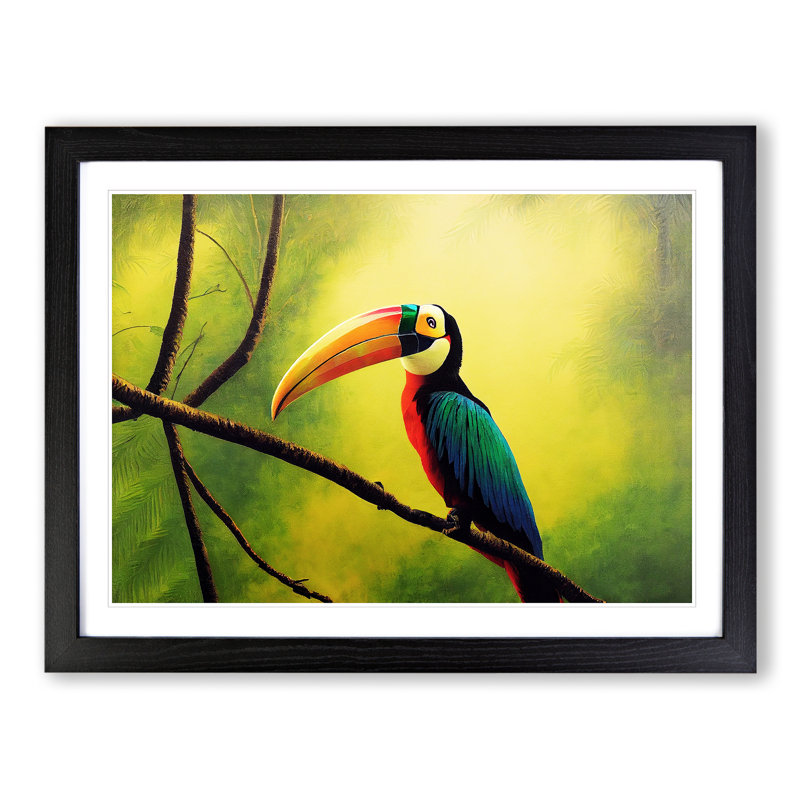 Attractive Toucan Bird - Framed Print, Black, 25cm H x 34cm W x 2cm D