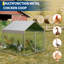 Chicken Run-276351782-276351803