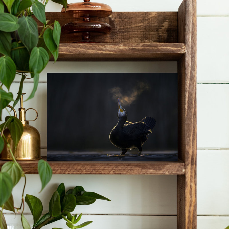 Cormorant'S Cold Breath Minimalist Bird Wall Art Print 1 Piece Wrapped Canvas Wall Art, 30.48cm H x 45.72cm W