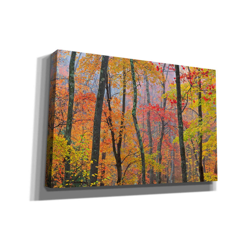 «Autumn Colors» par Patrick Zephyr, art mural sur toile, H 12 po x l 18 po x P 0,75 po