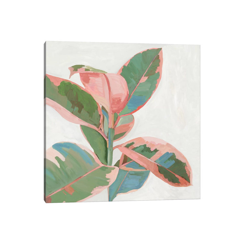 Pink Ficus I by Asia Jensen - Painting on Canvas, 93.98cm H x 93.98cm W x 1.91cm D, Wrapped Canvas