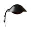 Armed Sconce