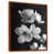 Toile avec cadre flottant brun