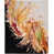 Rectangle 9'9" x 13'9" is out of stock