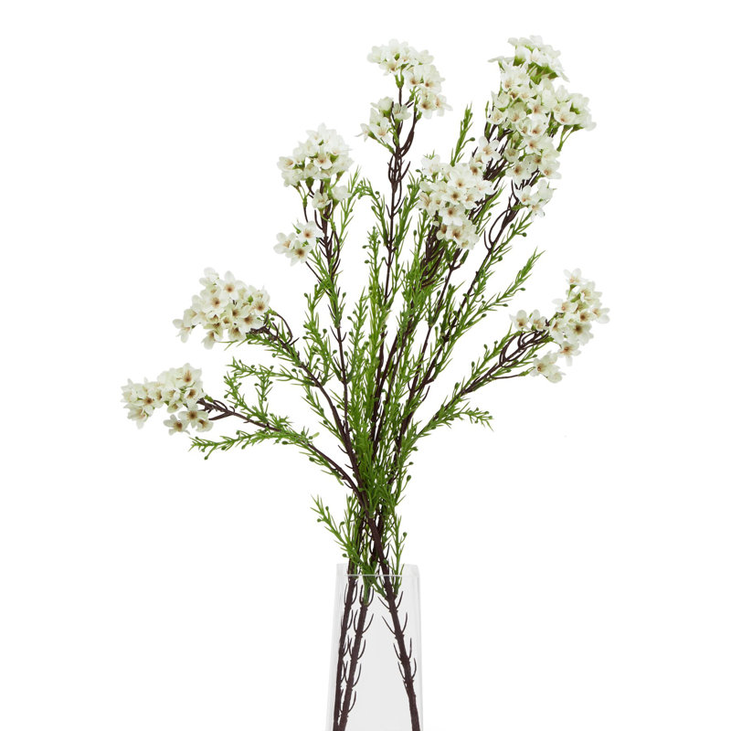 Arrangement